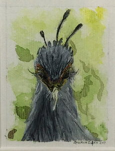 Looking Down | Secretary Bird | Original Watercolour on Canvas 6 x 8 cm